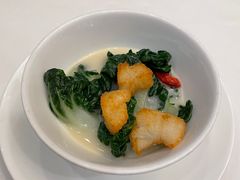 酥脆鱼汤浸菜苗-誉珑轩