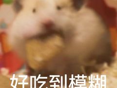-大起水产回转寿司(大丸心斋桥店)