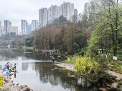 -重庆彩云湖湿地公园