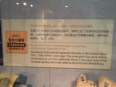 -烟台自然博物馆