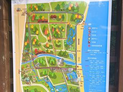 -日照海滨国家森林公园