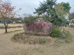 -鹅湖玫瑰文化园