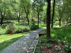 -陈家山荷花公园