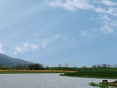 -径山花海