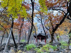 -大觉寺-停车场