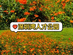 -深圳人才公园