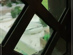 -云海肴云南菜(正大广场店)