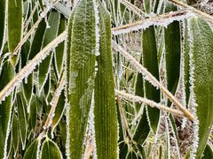 -终南山南五台景区