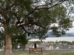 -东钱湖旅游度假区