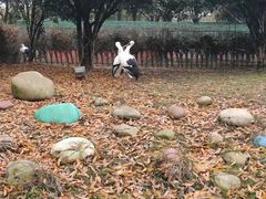 -常州淹城野生动物世界