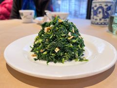 马兰头-天福苑(崇宁路店)