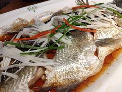 -丹江渔村(望京店)