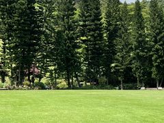 -深圳仙湖植物园