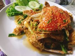 -Jungle Kitchen