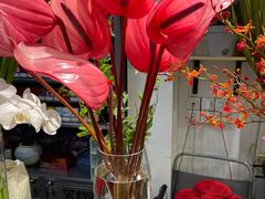 -FEI FEI FLOWER鲜花店·气球派对·宝宝宴布置(虹口德必运动Loft店)