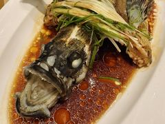 清蒸老虎斑-万龙洲海鲜(大兴绿地缤纷城店)