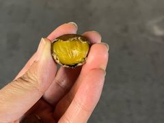 -高记桂花糖炒栗(鼓楼店)