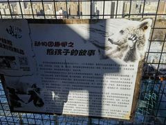 -青藏高原野生动物园