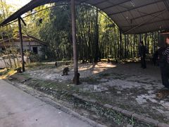 -重庆雨台山风景区
