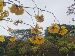 -广东药科大学(广州校区大学城校园)