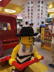 -乐高品牌旗舰店(人民广场店)