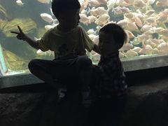 -临沂极地海洋王国
