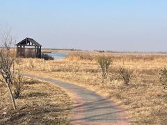 -盐城丹顶鹤湿地生态旅游区