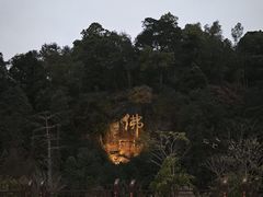 -三水森林公园