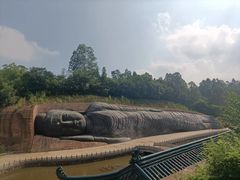 -三水森林公园