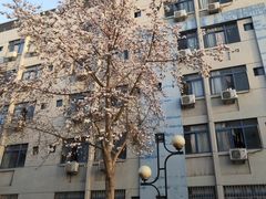 -长安大学(北校区)