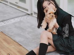 -青奢宠物·青奢猫舍