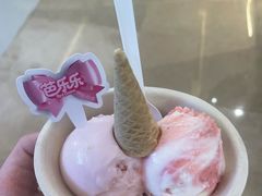 -极拉图·现制冰淇淋(大卫城店)