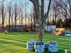 -宠乐会宠物乐园