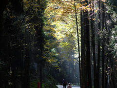 -山王坪喀斯特国家生态公园