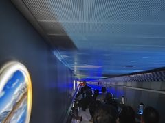 -白鹤梁水下博物馆