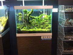 -银座商城(东城店)