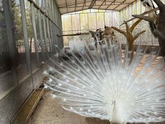 -第五季龙水凤港生态露营农场