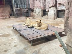 -鄂尔多斯野生动物园