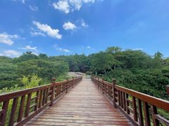 -天生桥景区