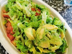 -油梨树AVOCADO TREE(顺义新国展店)