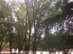 -天津市和平区西宁道清真寺