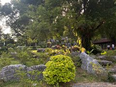 -东莞植物园