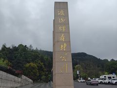 -铁山坪森林公园