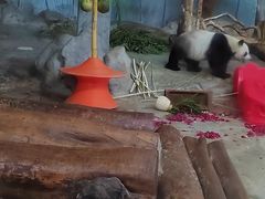 -海南热带野生动植物园