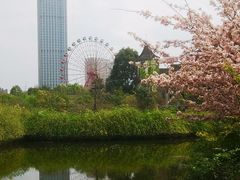 -成都南湖公园