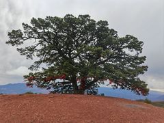 -红土地风景区