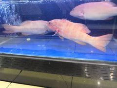 -果蔬好生活超市(东湖店)
