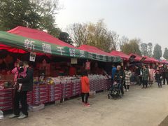 -秀丽东方