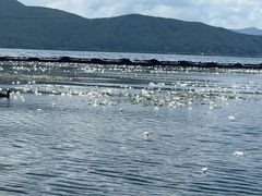-大理洱海