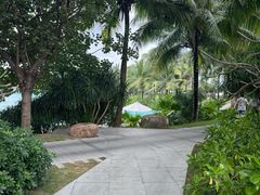 -三亚艾迪逊酒店·海滩烧烤 BARBACOA·现场乐队·浪漫晚餐·烧烤海鲜